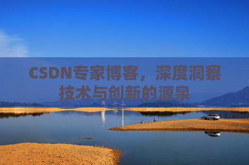 CSDN专家博客，深度洞察技术与创新的源泉